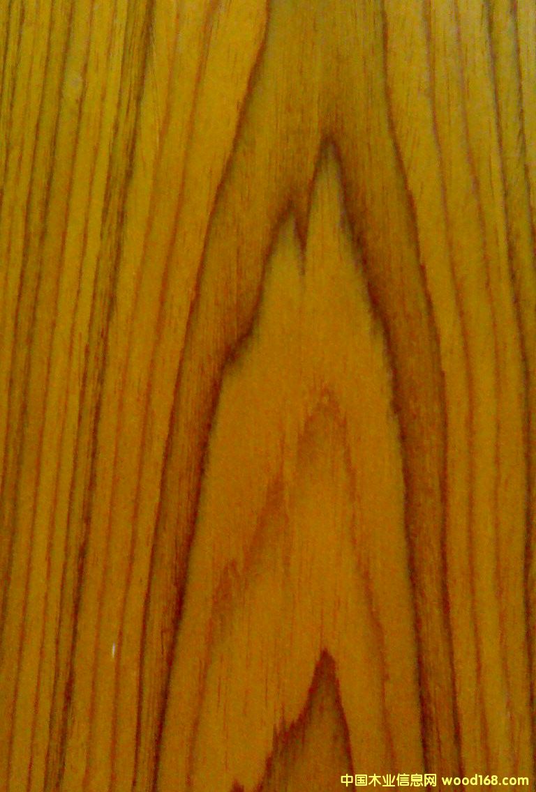 ��ľ��Ԕ��(x��)��B