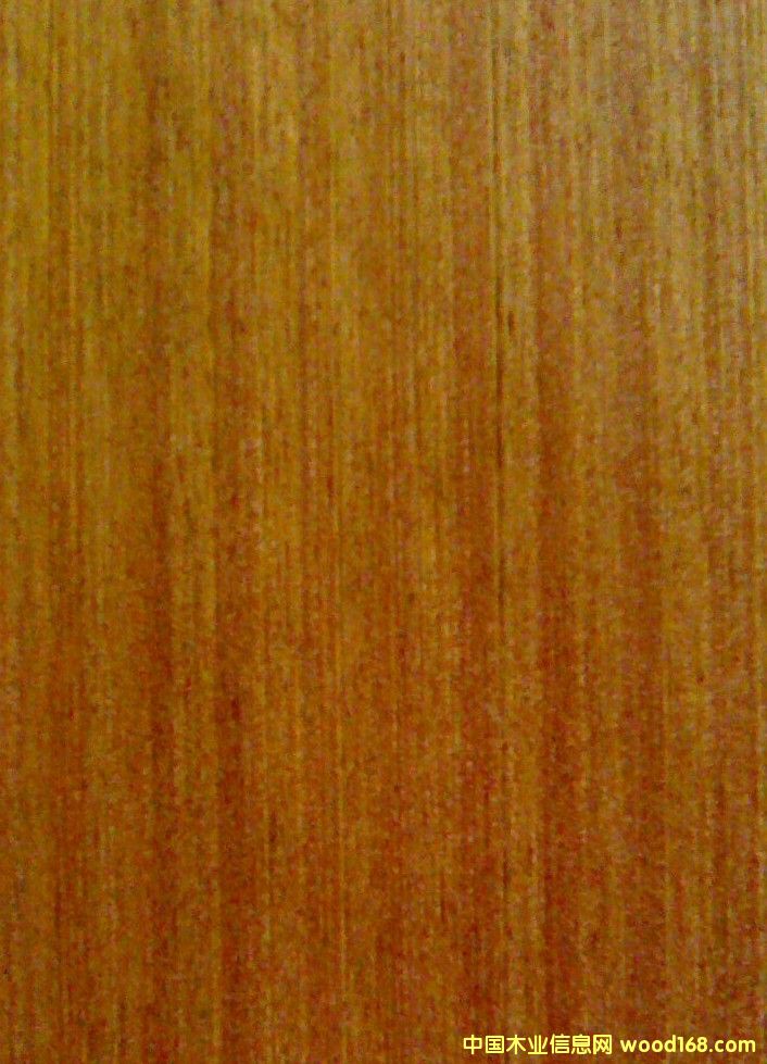 ɳ����ֱ�y