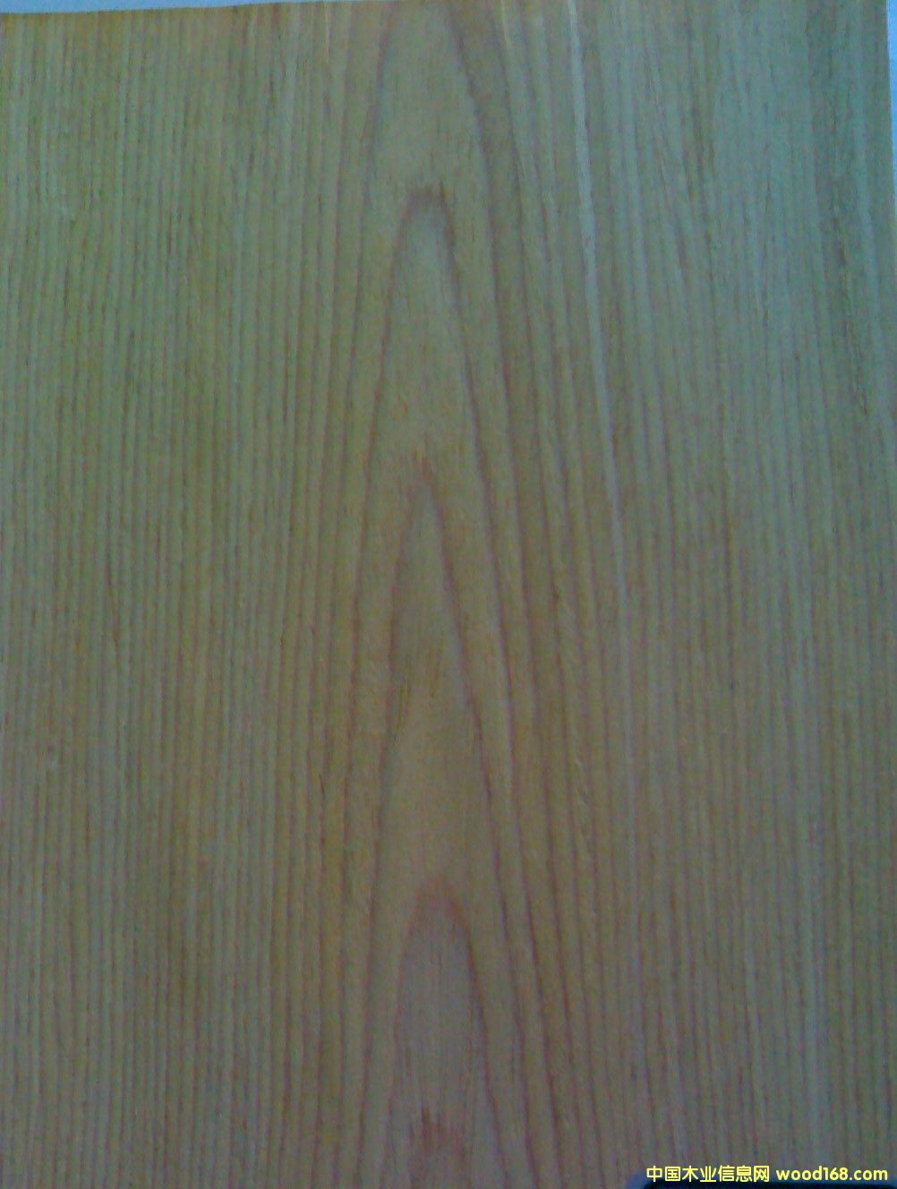 ����ֱ�y��Ԕ��(x��)��B