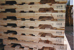 ľ�бP(p��n)��Ԕ��(x��)��B