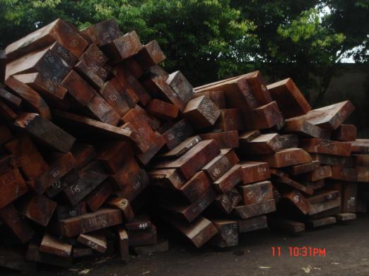 �c���鿴Խ�ϲݻ���Ŵ�DƬ
