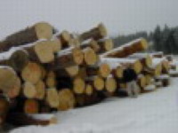 ����ɼԭľ��Ԕ����B