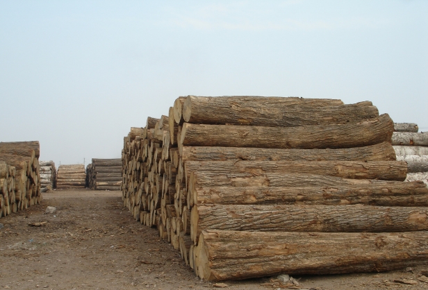 ��ľ��Ԕ��(x��)��B