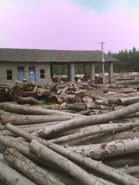 ľƤ��Ԕ��(x��)��B