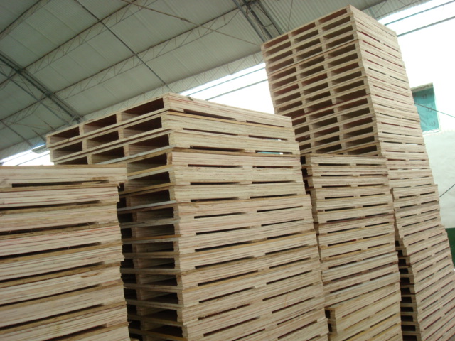 �бP��Ԕ��(x��)��B