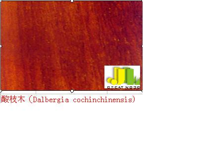 ��֦ľ��Ԕ��(x��)��B