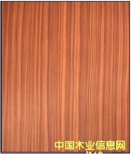 ɯ������Ԕ��(x��)��B