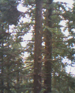 �c���鿴ɼľԭľ�Ŵ�DƬ