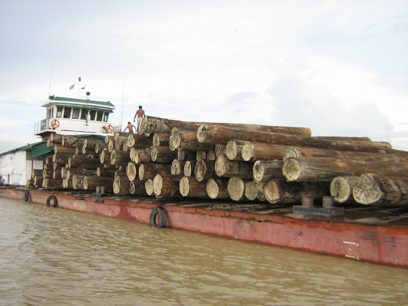 �c(di��n)���鿴��¡ľ�Ŵ�DƬ