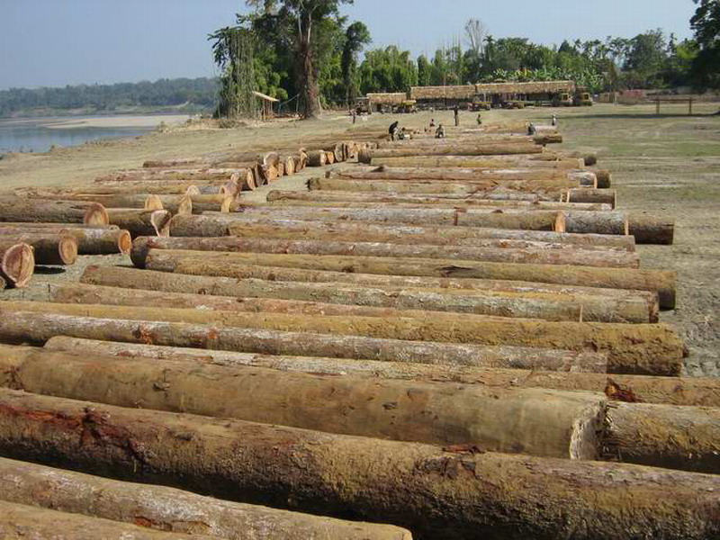 �c(di��n)���鿴��¡ľ��ľ���Ŵ�DƬ