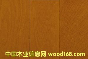 �c���鿴��ľ�ذ�W��Ŵ�DƬ