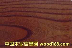 �c���鿴��ľ�ذ��ľ�Ŵ�DƬ