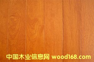 �c���鿴��ľ�ذ巬���۷Ŵ�DƬ