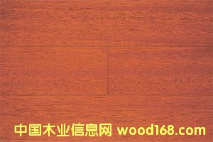 �c���鿴��ľ�ذ庣��ľ�Ŵ�DƬ