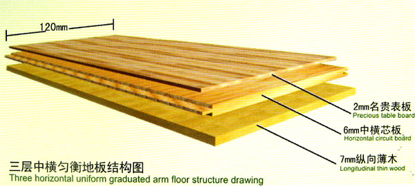 �c(di��n)���鿴��(sh��)ľ�ذ�Ŵ�DƬ