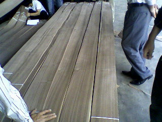 ֱ�y�ں��ҵ�Ԕ����B