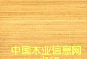 �Ƽ�ľƤ��˨WA-11Q