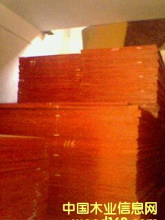 ����ģ���Ԕ��(x��)��B