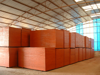 ����ģ���Ԕ��(x��)��B