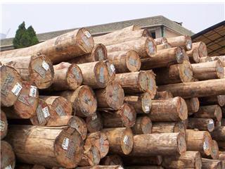 �c���鿴������ԭľ�Ŵ�DƬ