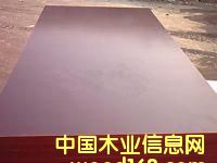 �c(di��n)���鿴brown film face plywood�Ŵ�DƬ