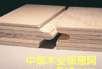 �c(di��n)���鿴T&G plywood�Ŵ�DƬ