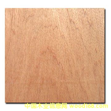 �c(di��n)���鿴Bintangor plywood�Ŵ�DƬ