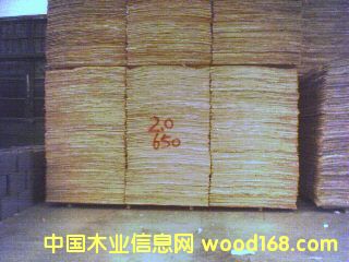 ��ľ�а��Ԕ��(x��)��B