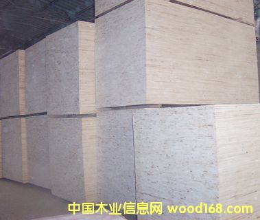 13��Ԕ����B