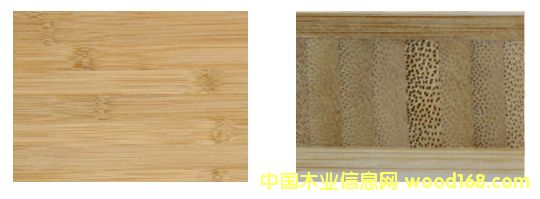 �c(di��n)���鿴�񼯳ɲķŴ�DƬ