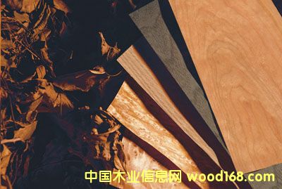 �c���鿴��ȻľƤ�Ŵ�DƬ