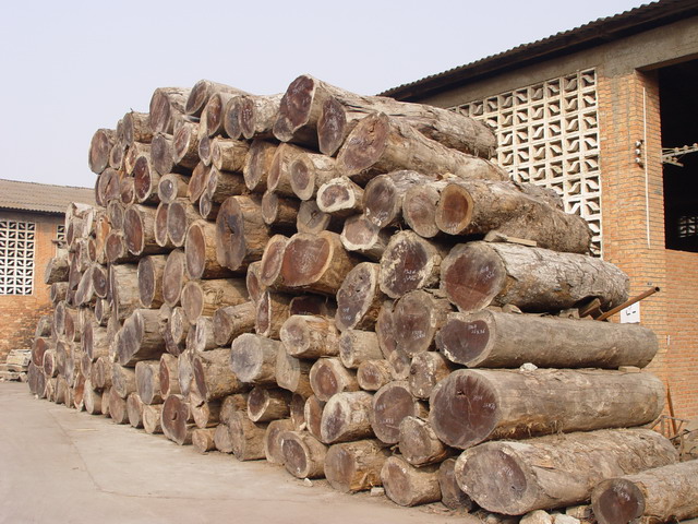 �S���ľ��Ԕ��(x��)��B