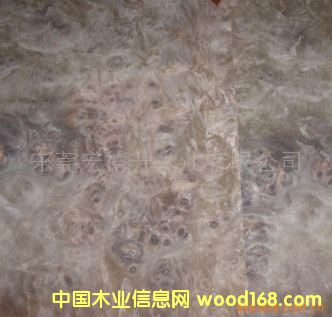 ���Ҙ����Ԕ��(x��)��B