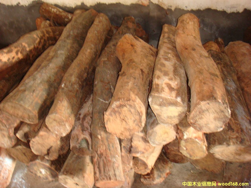 ���S̴��Ԕ����B