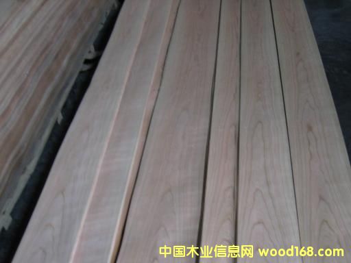 ��������ľƤ��Ԕ��(x��)��B