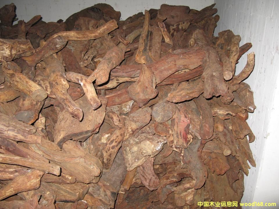 �S�����Ԕ��(x��)��B