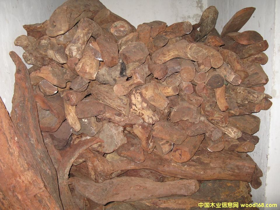 �S�����Ԕ��(x��)��B