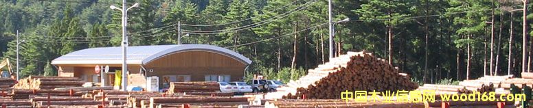 �M(j��n)��ľ�ĵ�Ԕ��(x��)��B