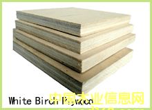 �c���鿴�z�ϰ�Ŵ�DƬ