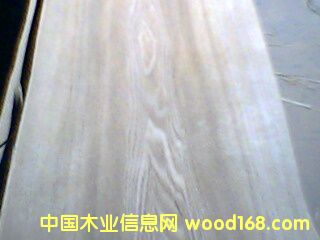 0.5MM�������y