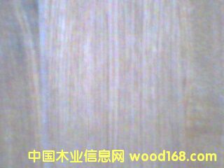 �c���鿴0.5MM��ľֱ�y�Ŵ�DƬ