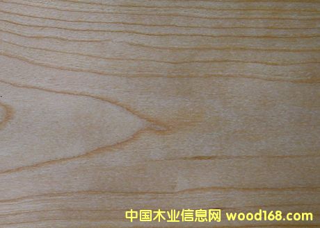 ����ľƤ��Ԕ����B