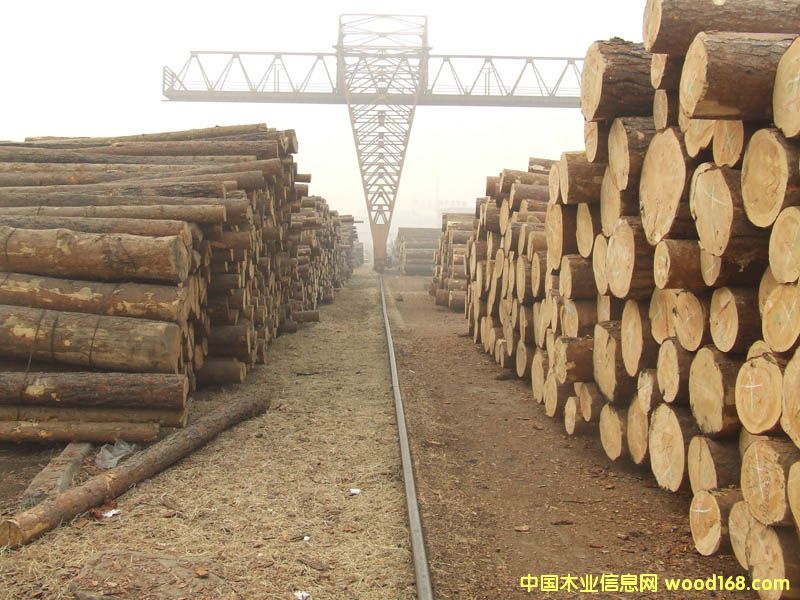 �c(di��n)���鿴ľ�ķŴ�DƬ