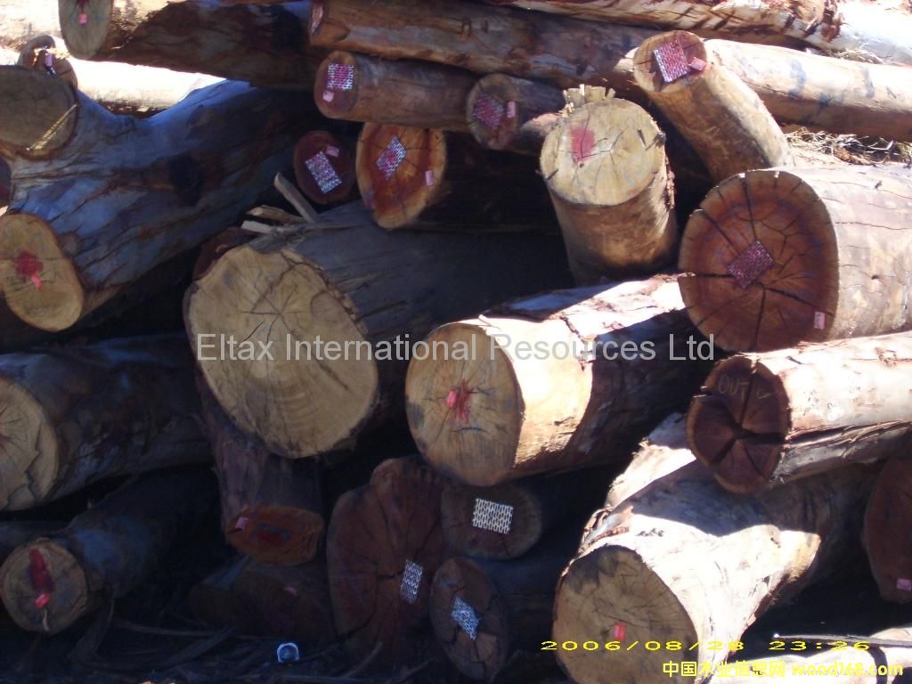 �c(di��n)���鿴ľ�ķŴ�DƬ