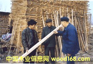 �c(di��n)���鿴��Ʒ�Ŵ�DƬ