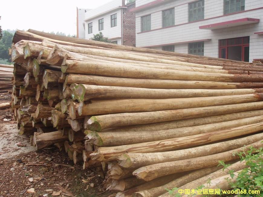 �c(di��n)���鿴ľ�ķŴ�DƬ