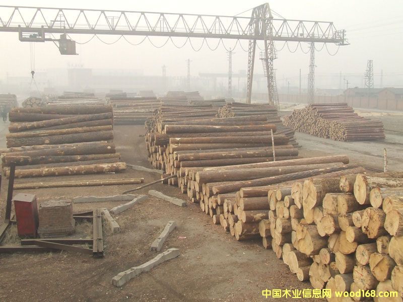 �c(di��n)���鿴ľ�ķŴ�DƬ