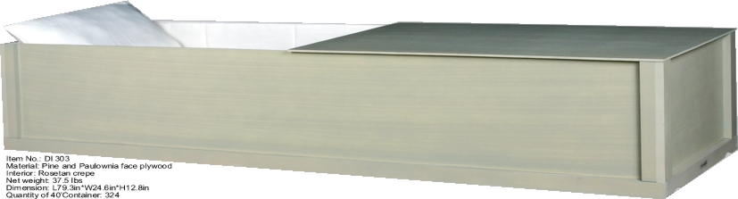 �c(di��n)���鿴DI303�Ŵ�DƬ