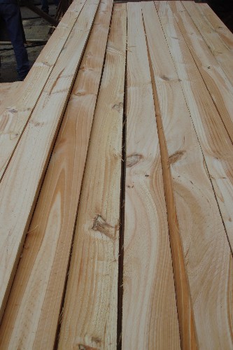 ����ݗ���ɵ�Ԕ����B