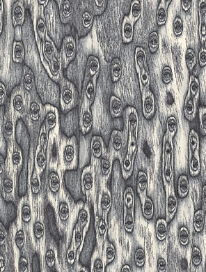 ��؈�۵�Ԕ��(x��)��B